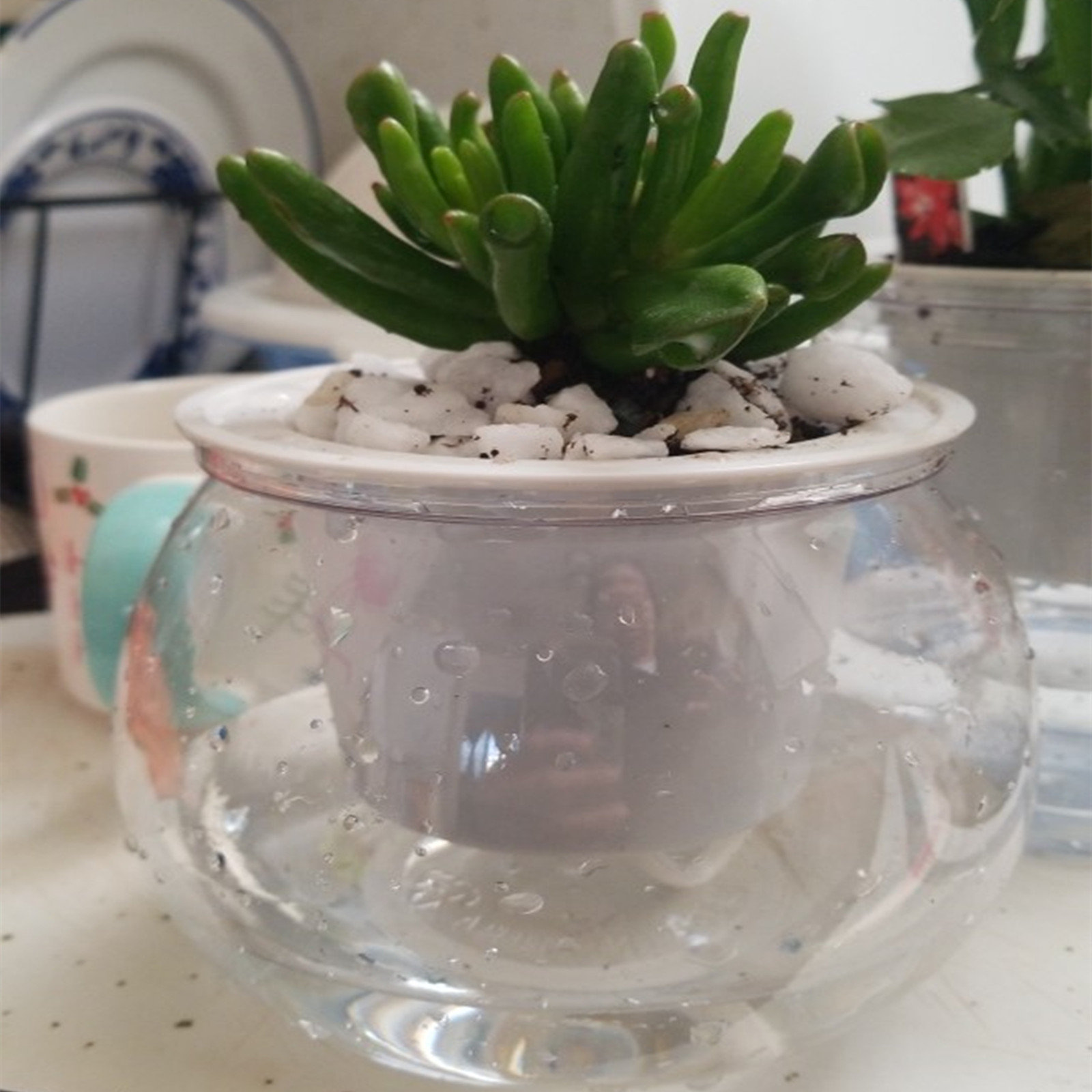 Mini Bonsai Zen Garden - Self Watering Planter Pots Mini Flowerpot