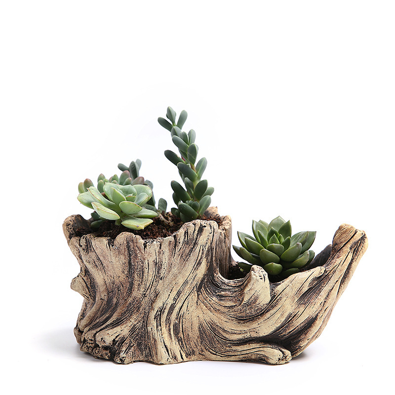 Mini Bonsai Zen Garden - Succulent Flower Pot Wood Tree Root
