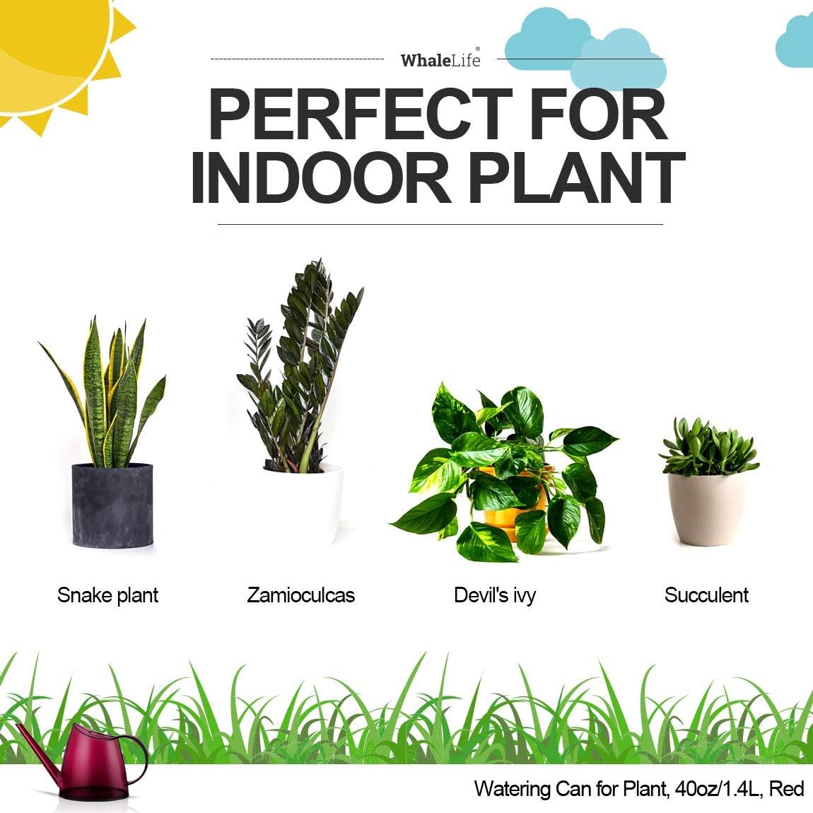 Indoor Watering Can for House  - Bonsai Garden Images บทวิจารณ์และราคา