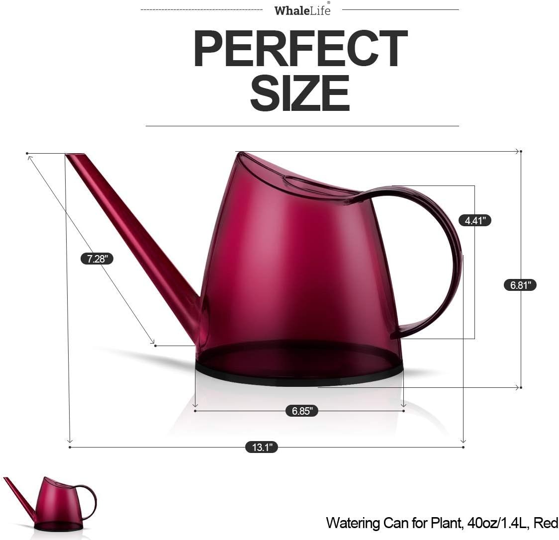 Indoor Watering Can for House  - Bonsai Garden Images บทวิจารณ์และราคา