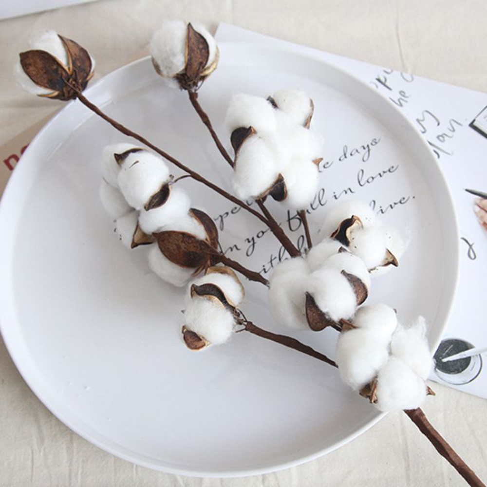 Naturally Cotton Artificial Pl - Bonsai Garden Gift บทวิจารณ์และราคา