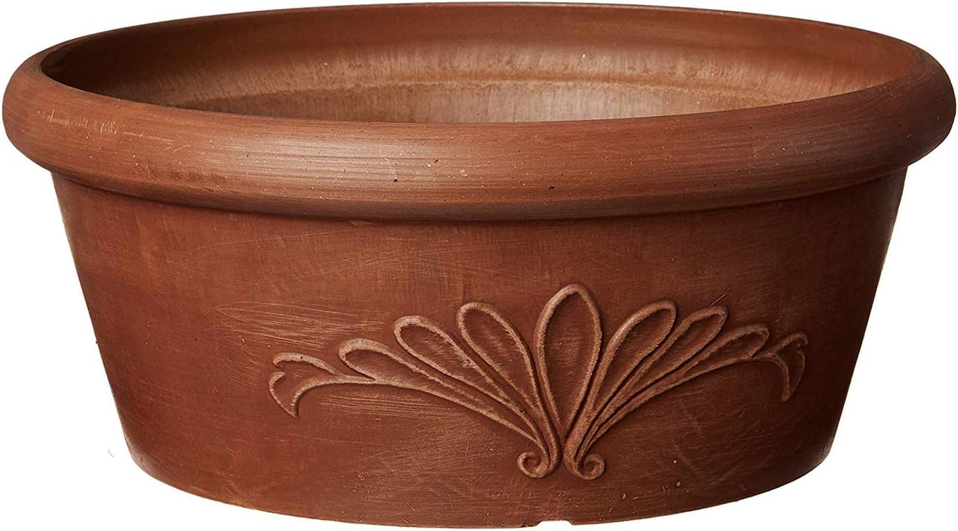 10-Inch Drillable Planter Bowl - Bonsai Garden Images บทวิจารณ์และราคา