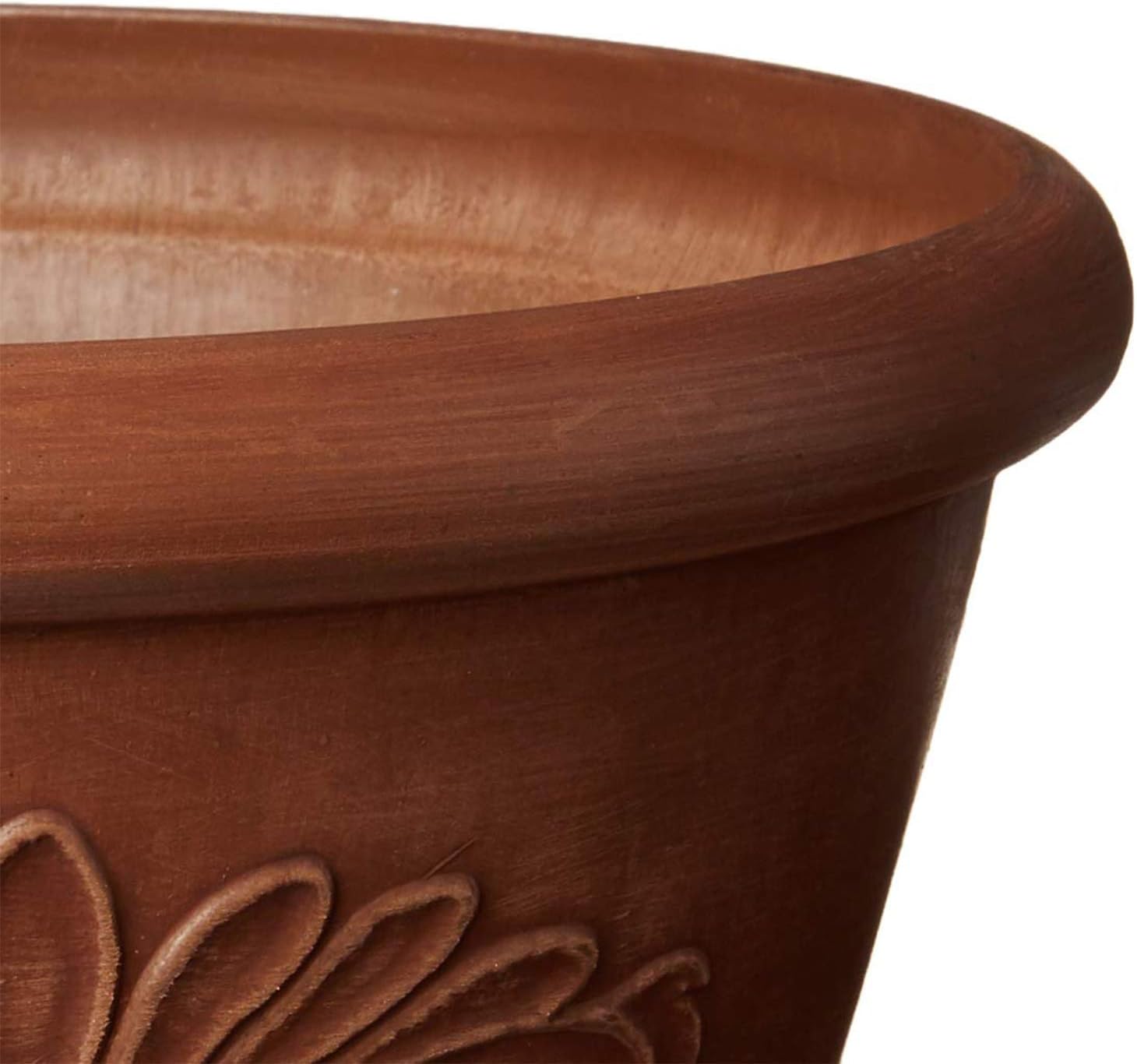 10-Inch Drillable Planter Bowl - Bonsai Garden Images บทวิจารณ์และราคา
