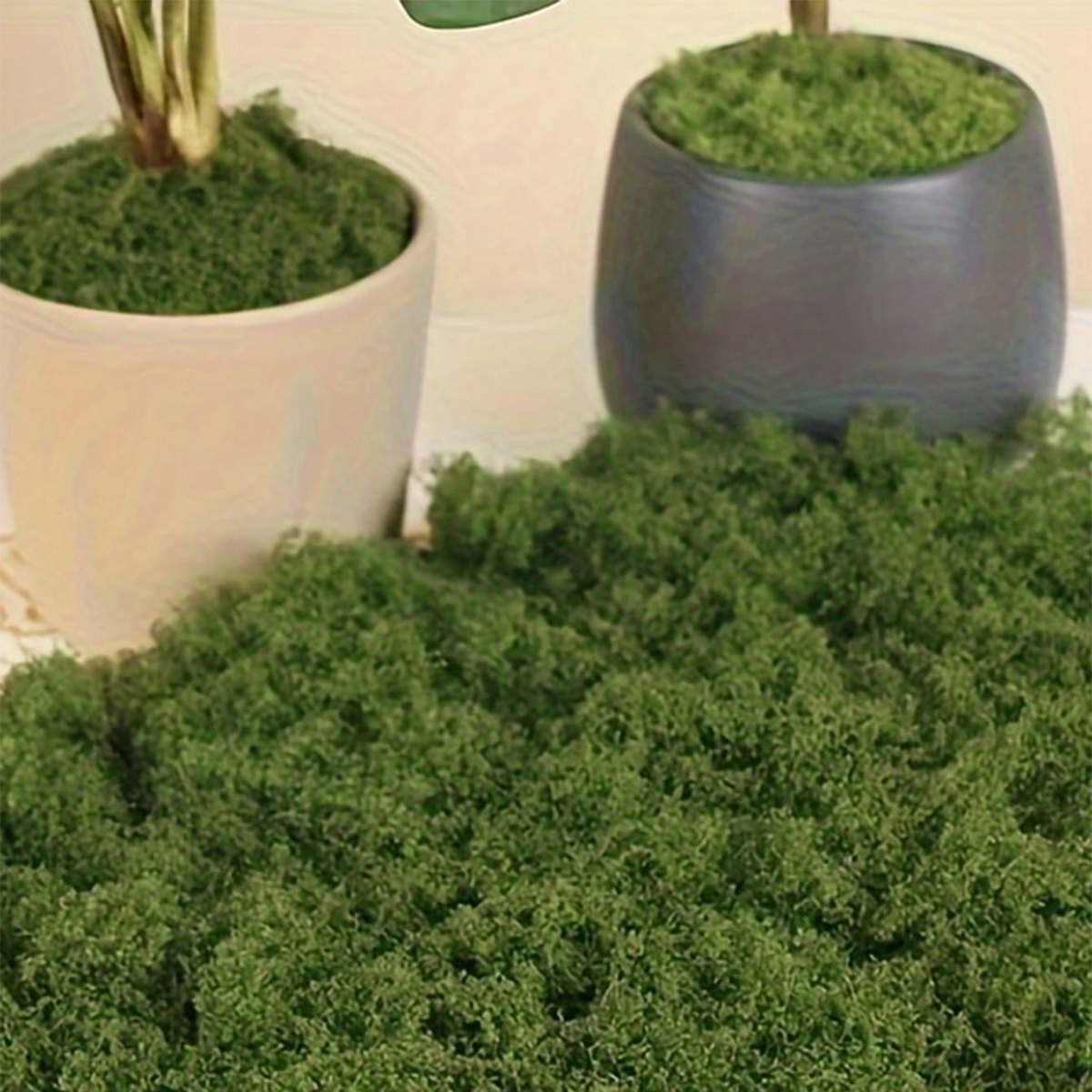250g Artificial Moss Decoratio - Bonsai Garden Landscape Design บทวิจารณ์และราคา