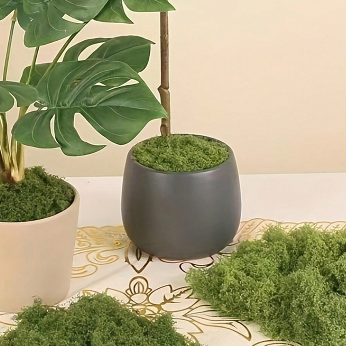 250g Artificial Moss Decoratio - Bonsai Garden Landscape Design บทวิจารณ์และราคา