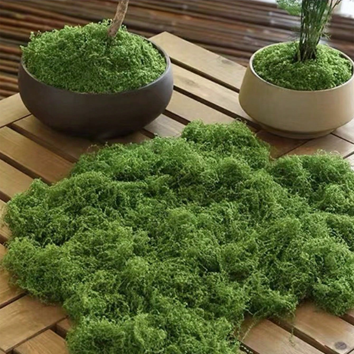 250g Artificial Moss Decoratio - Bonsai Garden Landscape Design บทวิจารณ์และราคา