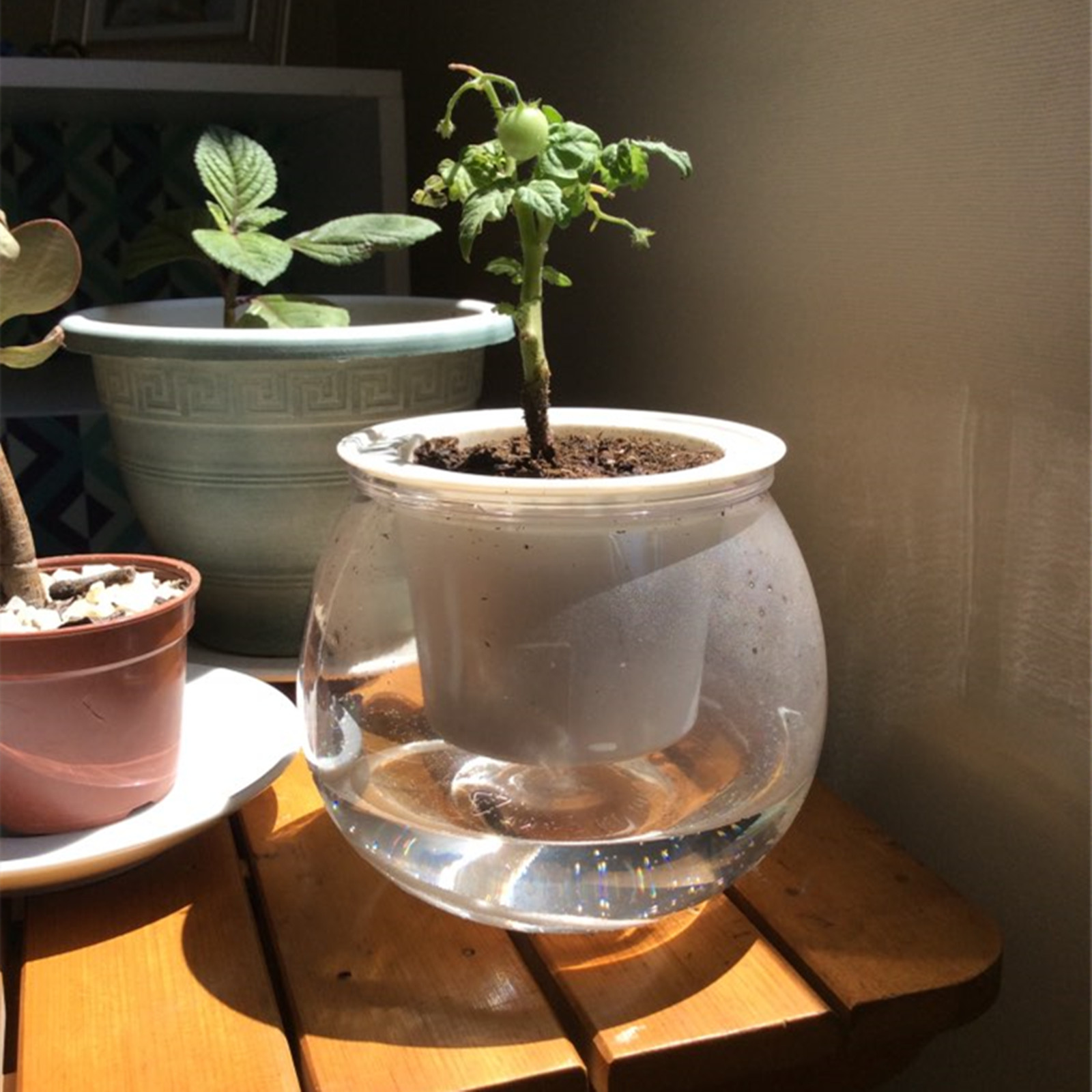 Self Watering Planter Pots Min - Mini Bonsai Zen Garden บทวิจารณ์และราคา
