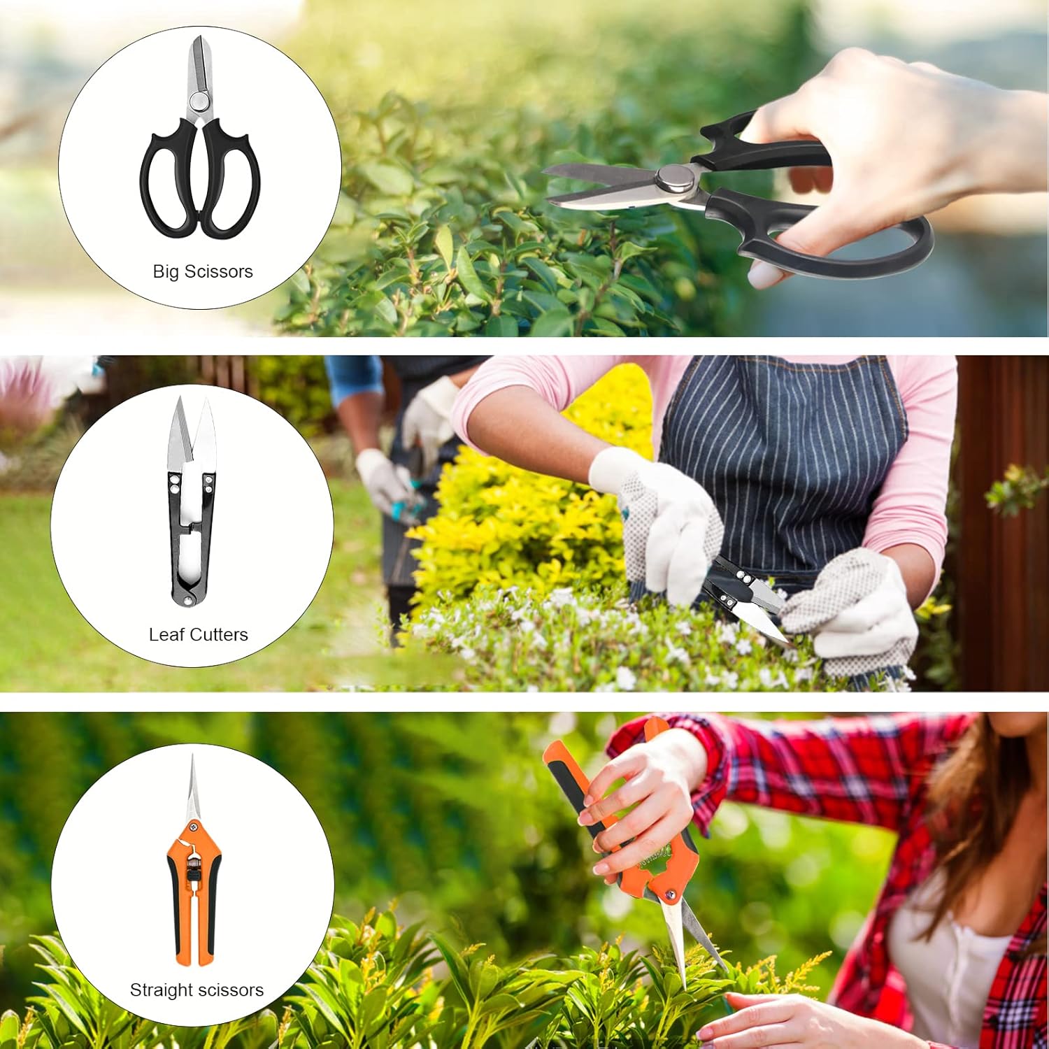 20-Piece Bonsai Tool Kit with  - Bonsai Garden Images บทวิจารณ์และราคา
