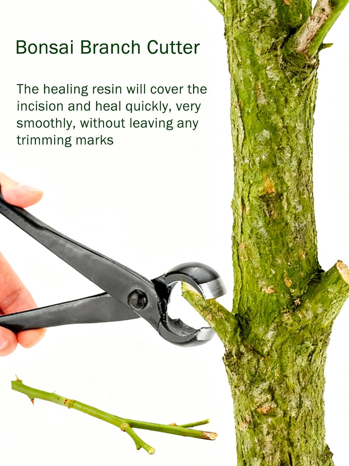 Bonsai Concave Cutter 8.4 Inch - Bonsai Garden Images บทวิจารณ์และราคา