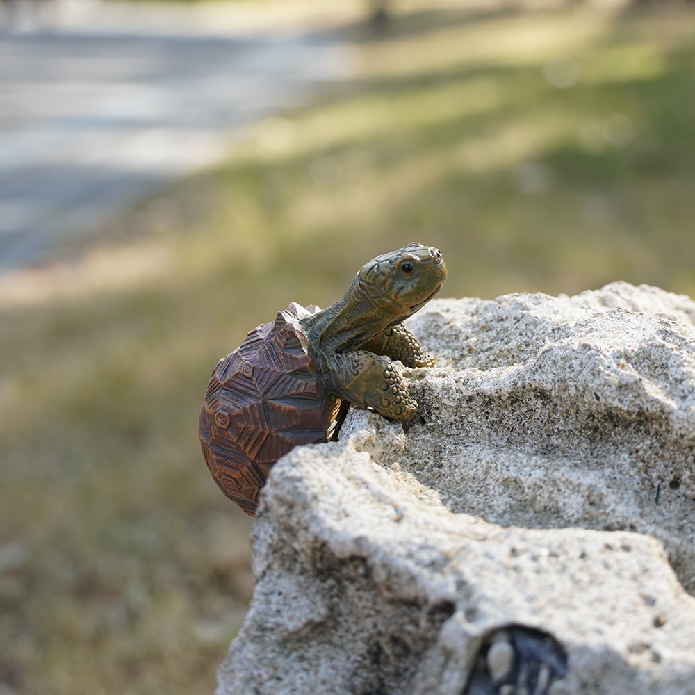 Mini Turtle Statue, Realistic  - Bonsai Garden Images บทวิจารณ์และราคา