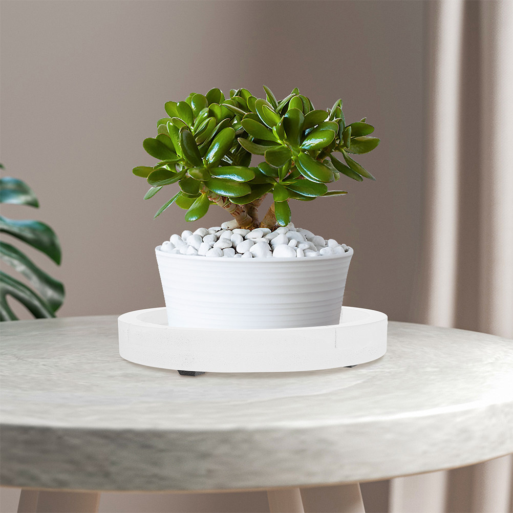 White Round Thick Cementlike P - Humidity Tray Pebble บทวิจารณ์และราคา