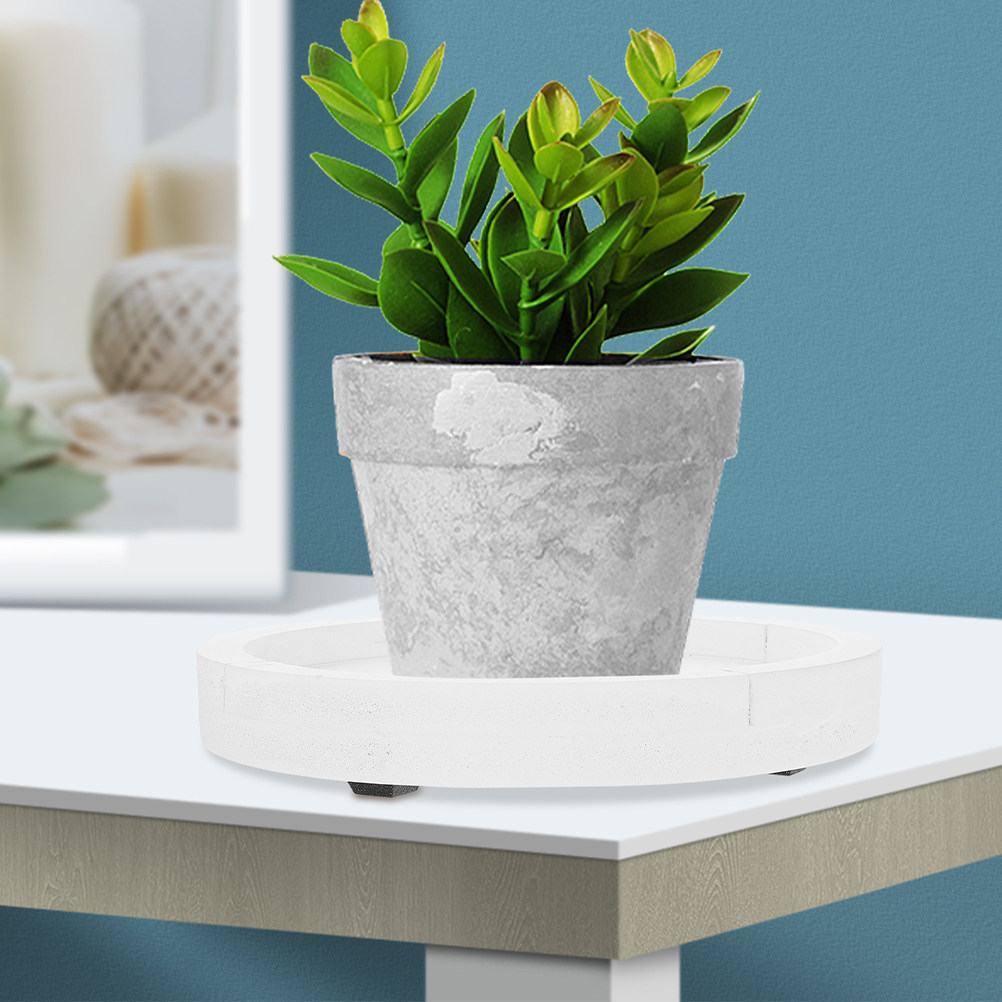 Thickened White Round Cement-L - Humidity Tray Pebble บทวิจารณ์และราคา
