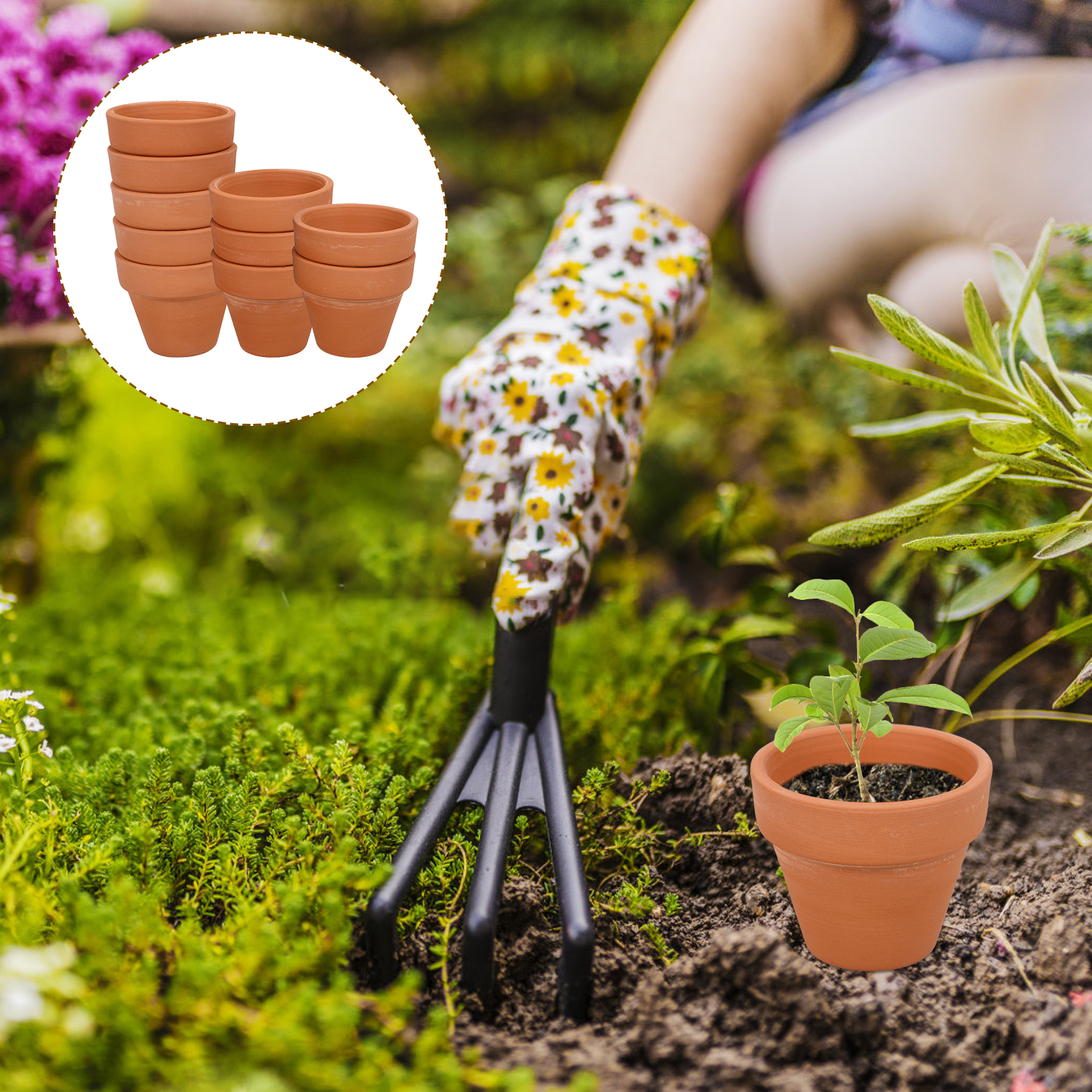 10pcs Mini Terracotta Pot Plan - Mini Bonsai Zen Garden บทวิจารณ์และราคา