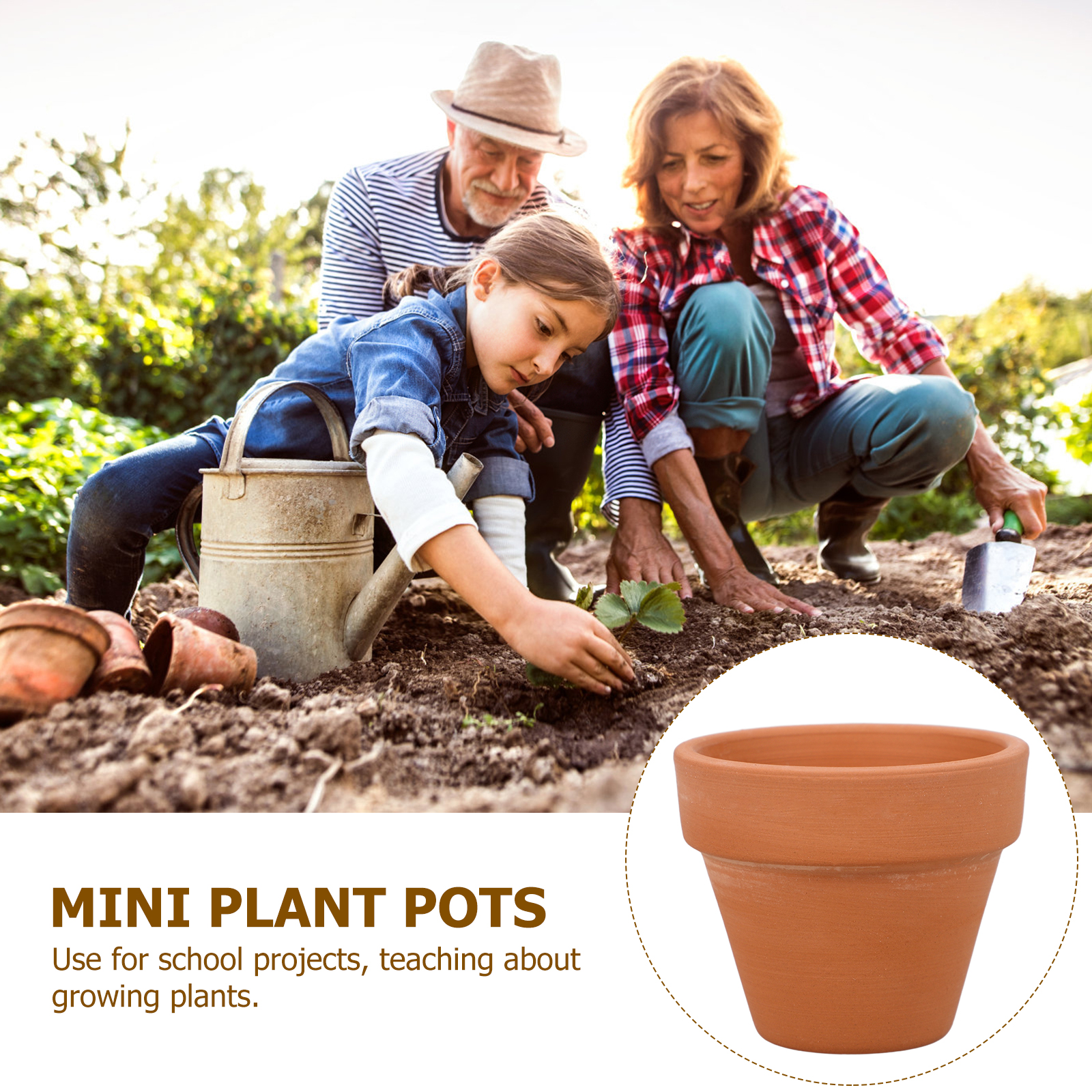 10pcs Mini Terracotta Pot Plan - Mini Bonsai Zen Garden บทวิจารณ์และราคา