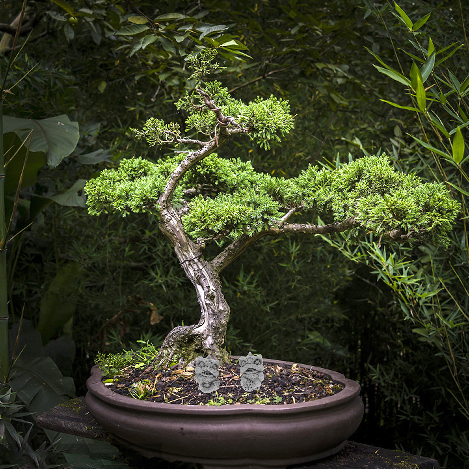 1Pair Small Lion Sculpture Fau - Bonsai Garden Landscape Design บทวิจารณ์และราคา