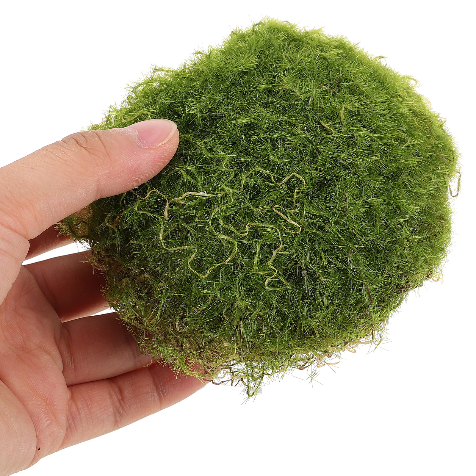 6Pcs Realistic Artificial Moss - Bonsai Garden Landscape Design บทวิจารณ์และราคา
