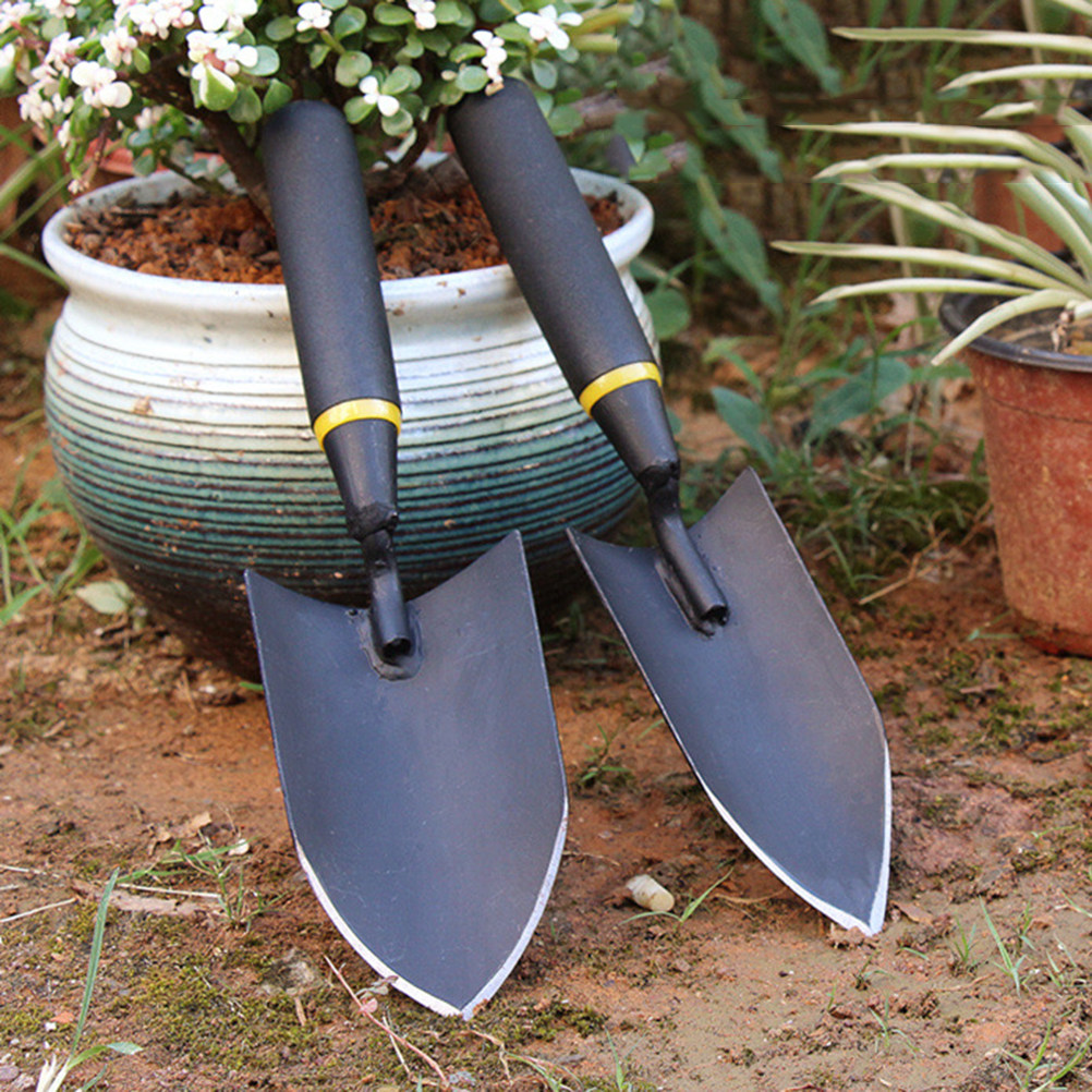 1Pcs Professional Thick Mangan - Bonsai Garden Design บทวิจารณ์และราคา