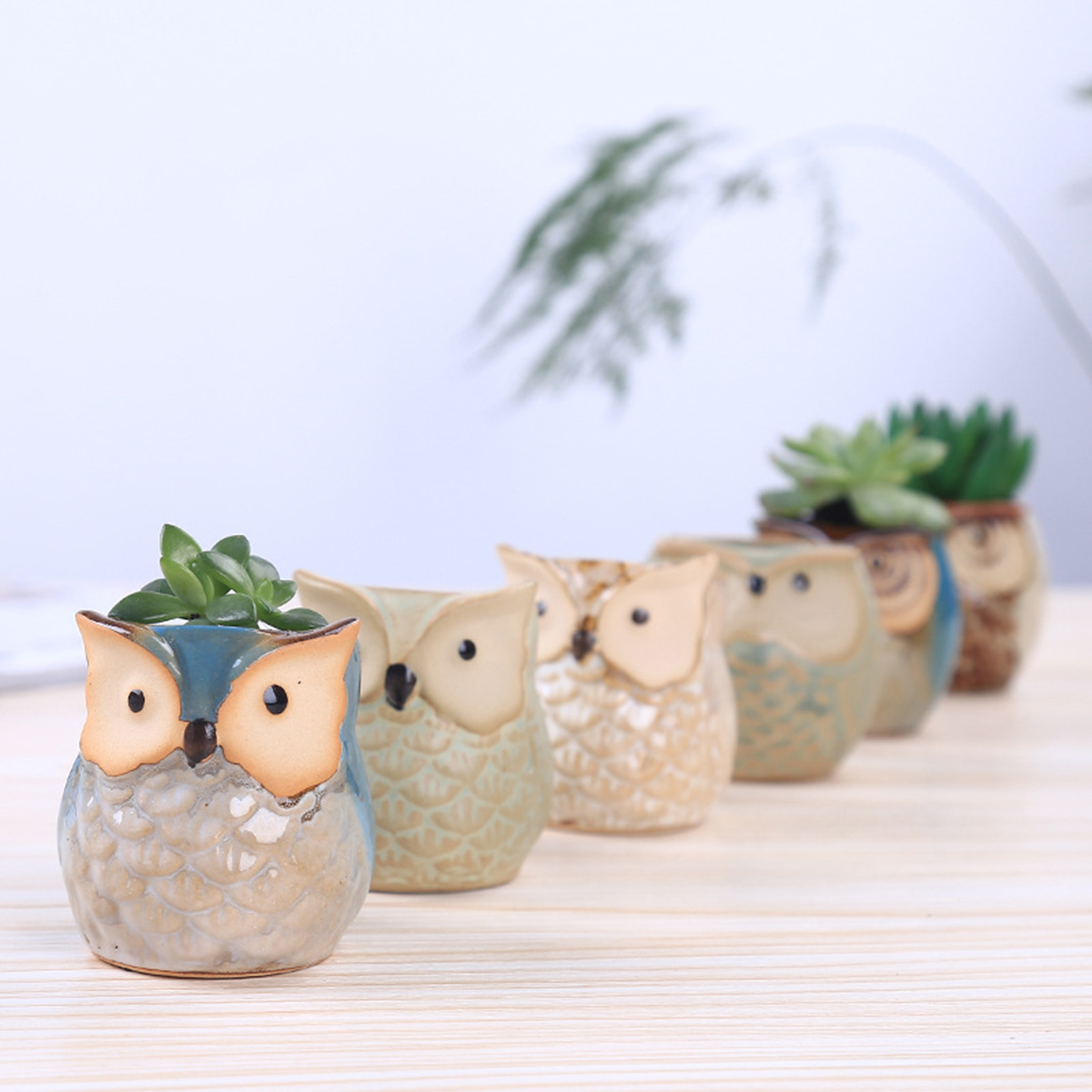 Home Garden Supplies Decoratio - Mini Bonsai Zen Garden บทวิจารณ์และราคา