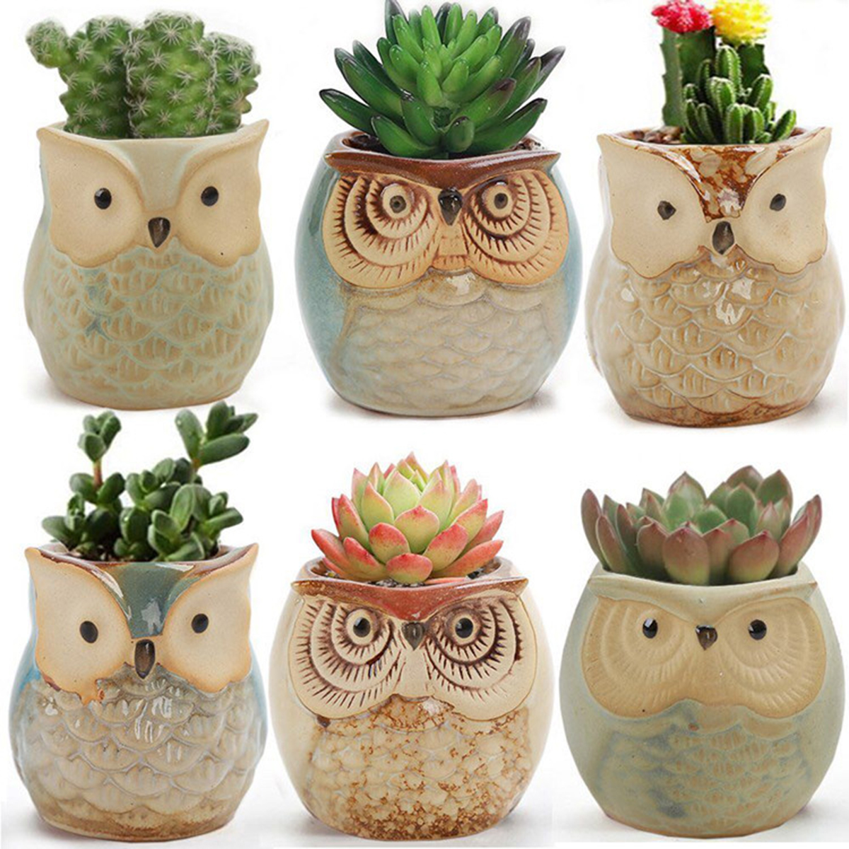 Home Garden Supplies Decoratio - Mini Bonsai Zen Garden บทวิจารณ์และราคา