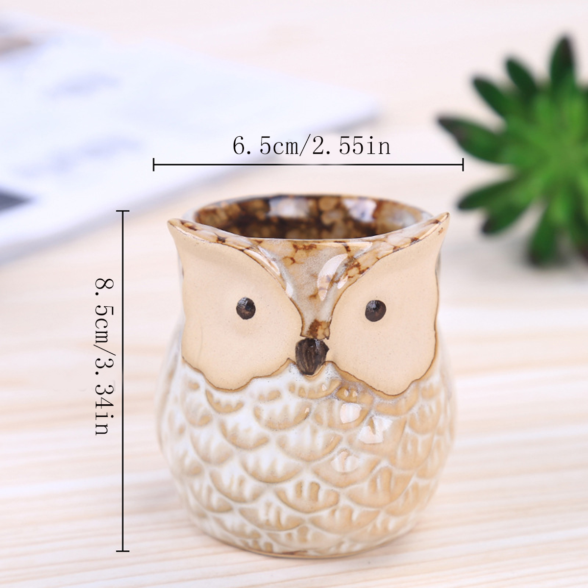 Home Garden Supplies Decoratio - Mini Bonsai Zen Garden บทวิจารณ์และราคา