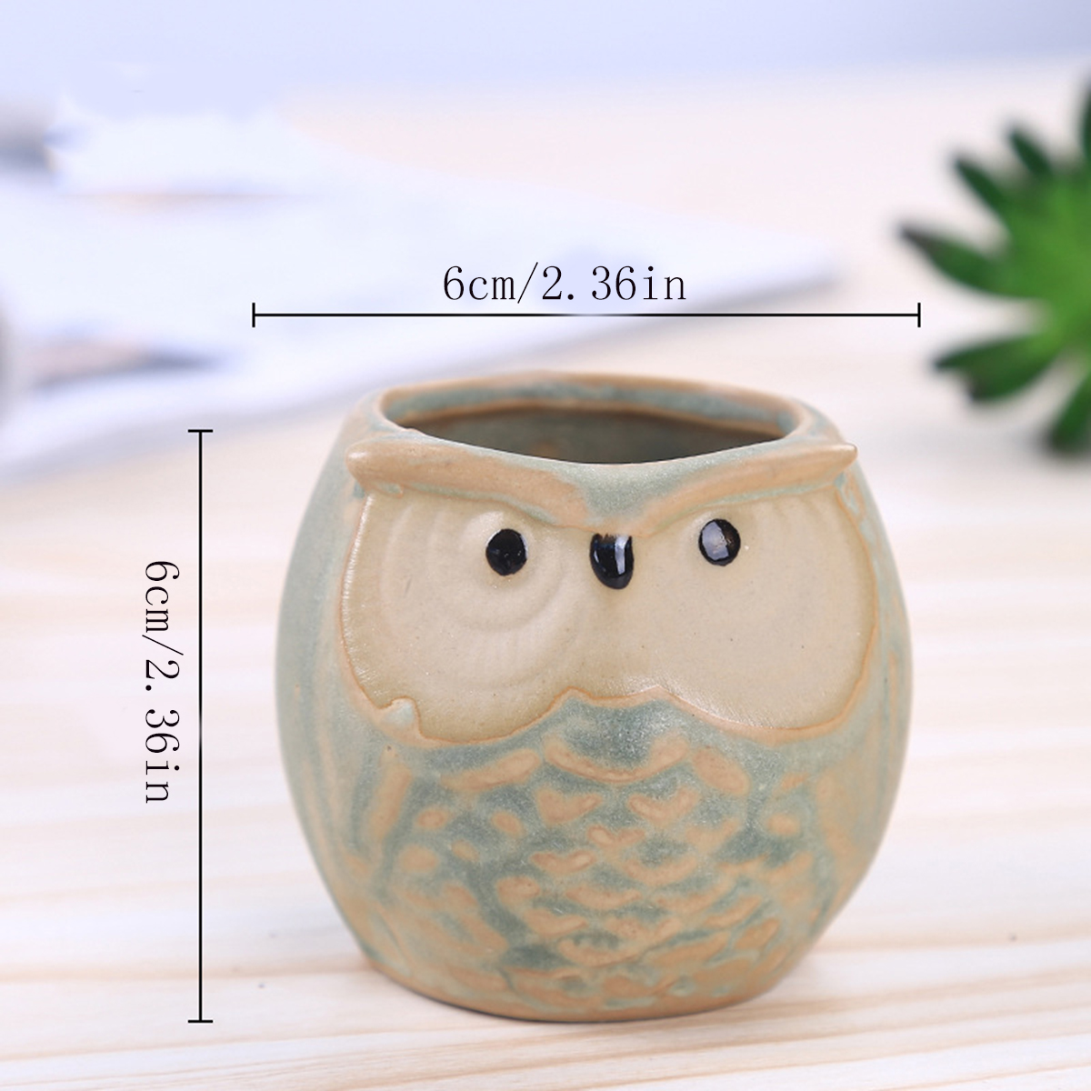 Home Garden Supplies Decoratio - Mini Bonsai Zen Garden บทวิจารณ์และราคา