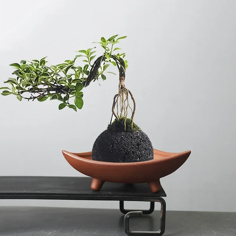 Personalized Ceramic Flower Po - Mini Bonsai Zen Garden บทวิจารณ์และราคา