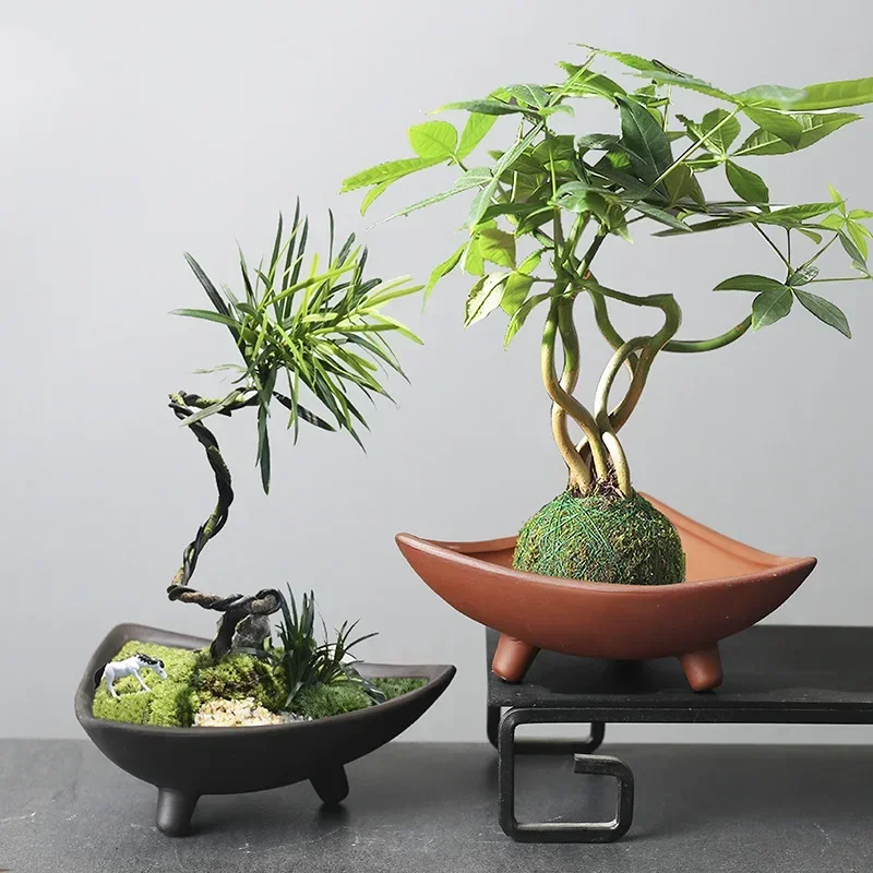 Personalized Ceramic Flower Po - Mini Bonsai Zen Garden บทวิจารณ์และราคา