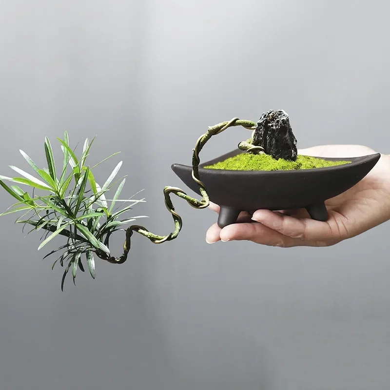 Personalized Ceramic Flower Po - Mini Bonsai Zen Garden บทวิจารณ์และราคา