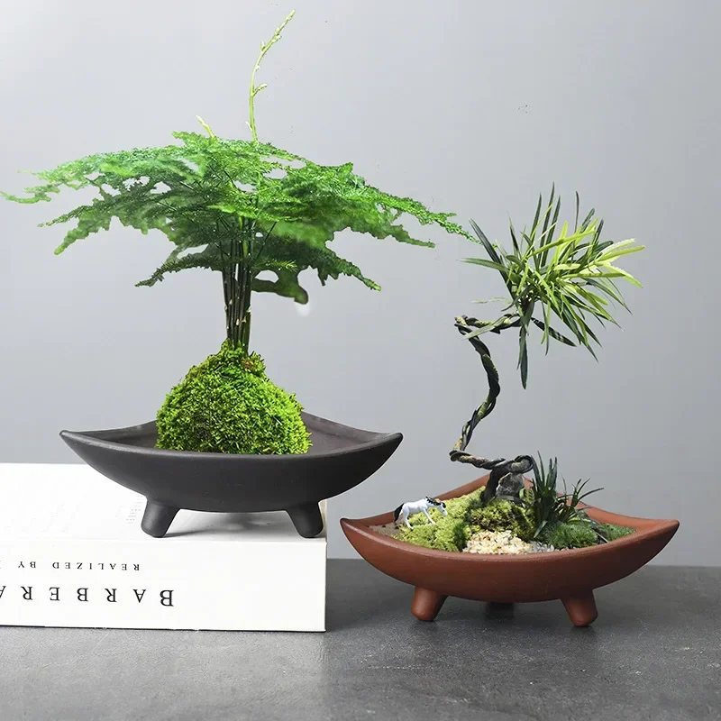 Personalized Ceramic Flower Po - Mini Bonsai Zen Garden บทวิจารณ์และราคา