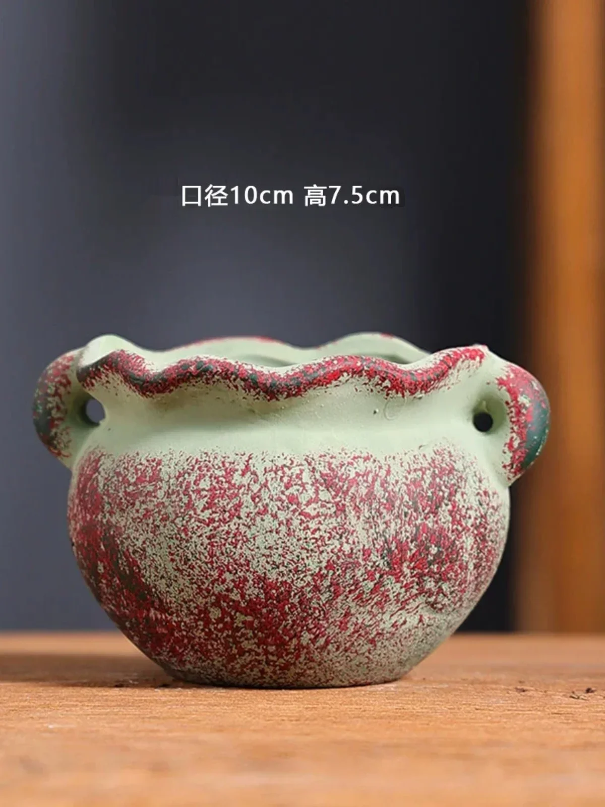 Mediterranean Succulent Flower - Mini Bonsai Zen Garden บทวิจารณ์และราคา