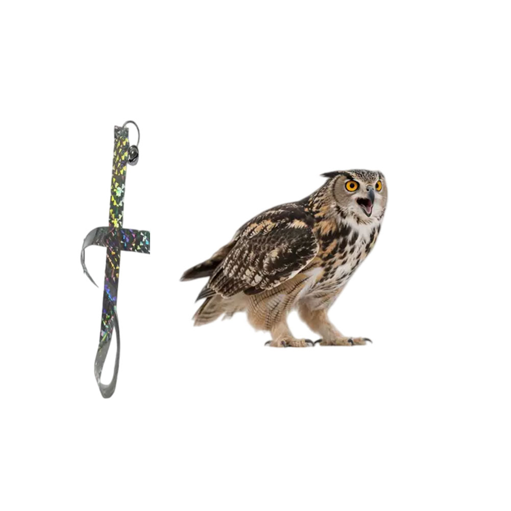 Plastic Hanging Owl Decor for  - Bonsai Garden Design บทวิจารณ์และราคา