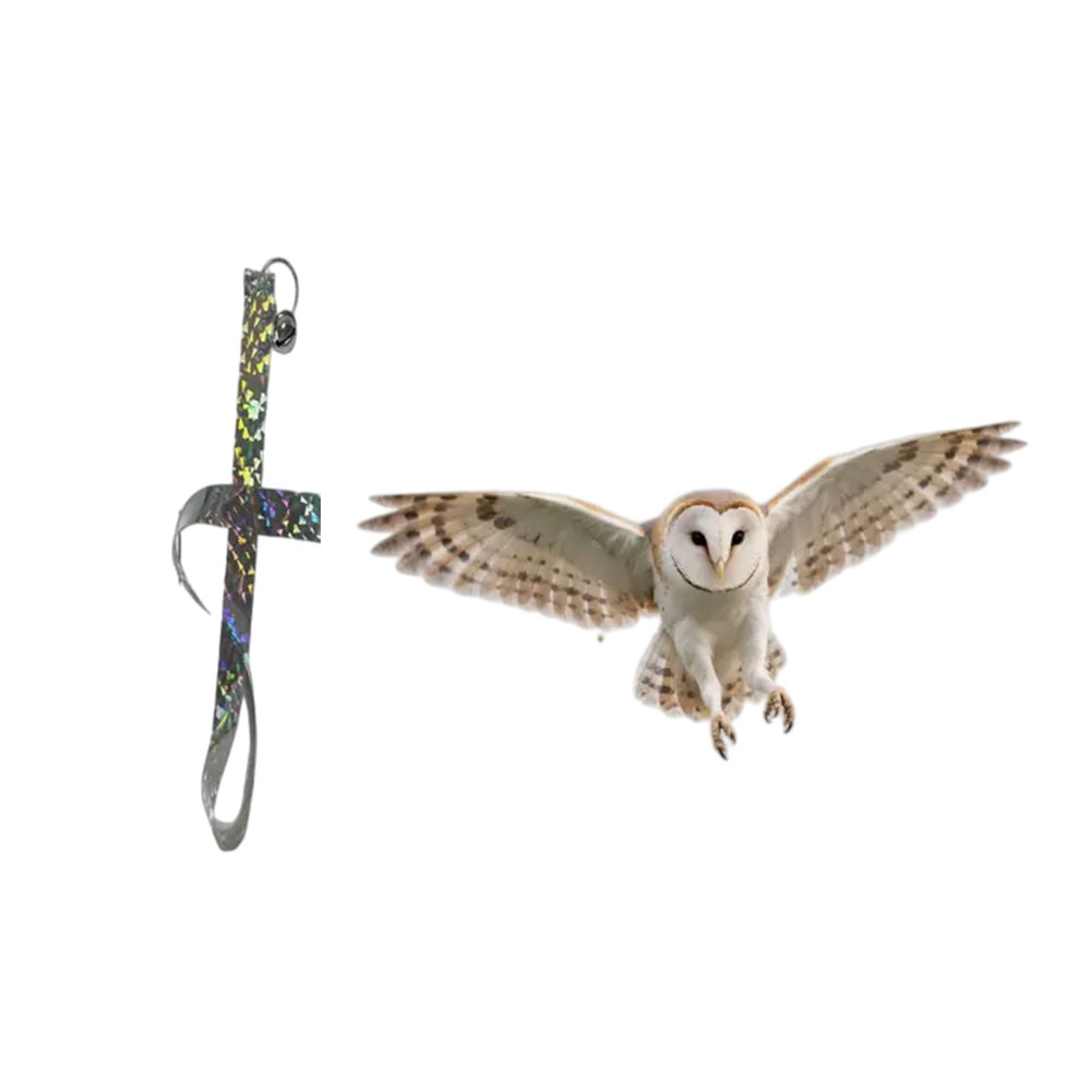 Plastic Hanging Owl Decor for  - Bonsai Garden Design บทวิจารณ์และราคา