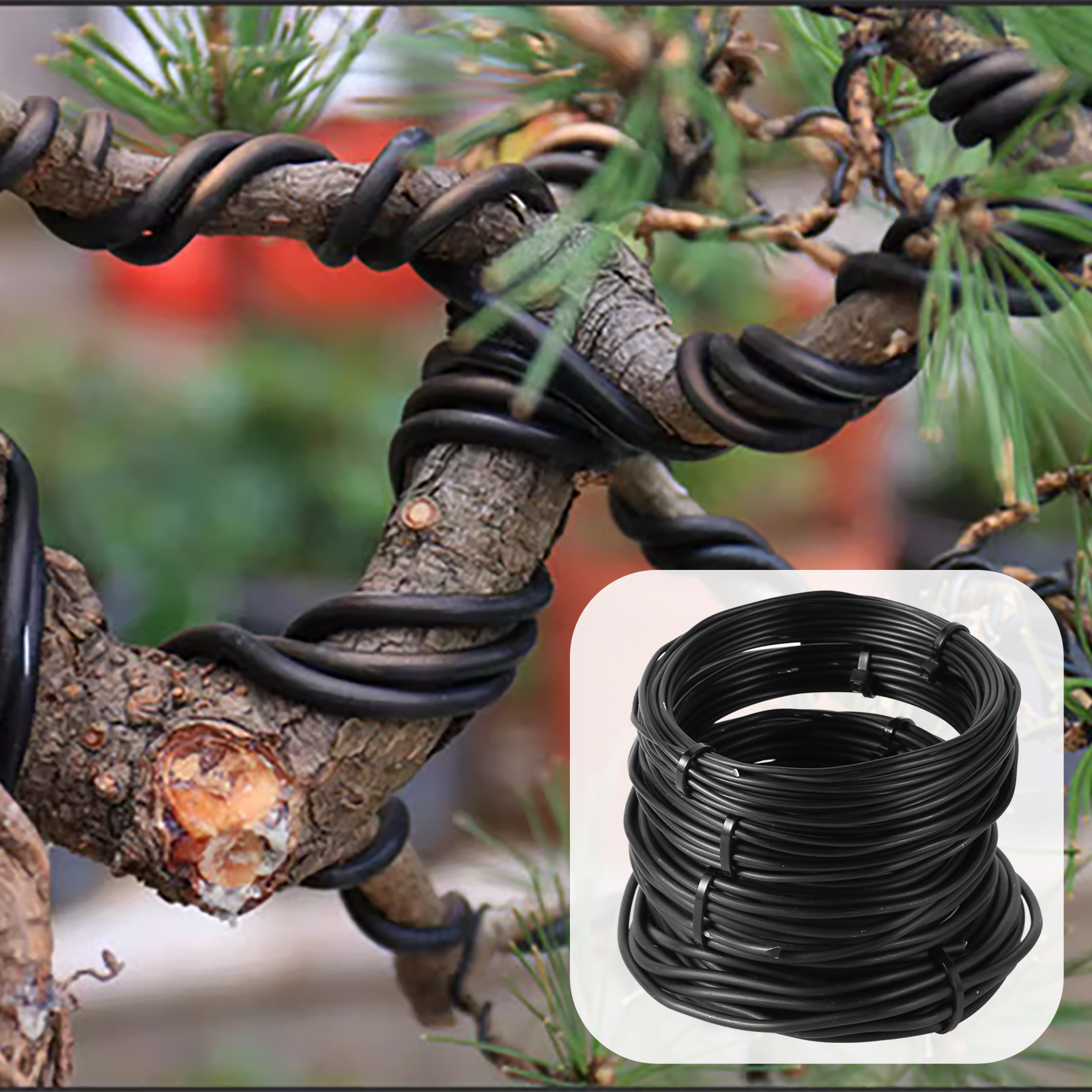 5/10m Bonsai Wire Plant Stand  - Bonsai Garden Design บทวิจารณ์และราคา