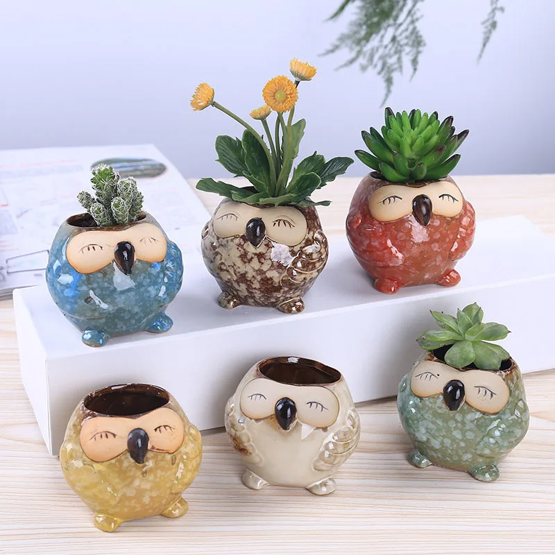 Mini Ceramic Owl Succulent Pla - Bonsai Garden Gift บทวิจารณ์และราคา