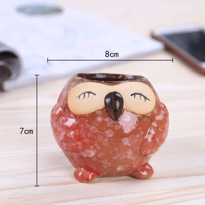 Mini Ceramic Owl Succulent Pla - Bonsai Garden Gift บทวิจารณ์และราคา