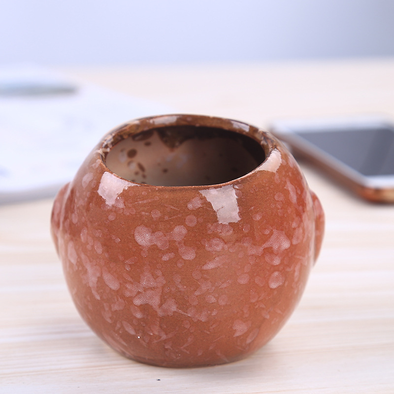 Mini Ceramic Owl Succulent Pla - Bonsai Garden Gift บทวิจารณ์และราคา