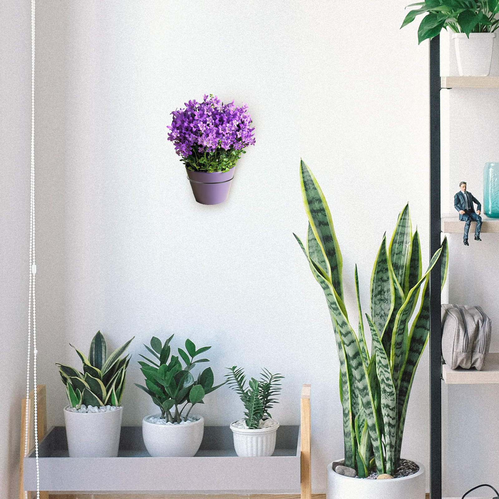 Iron Wall-Mounted Flowerpot Ra - Bonsai Garden Design บทวิจารณ์และราคา