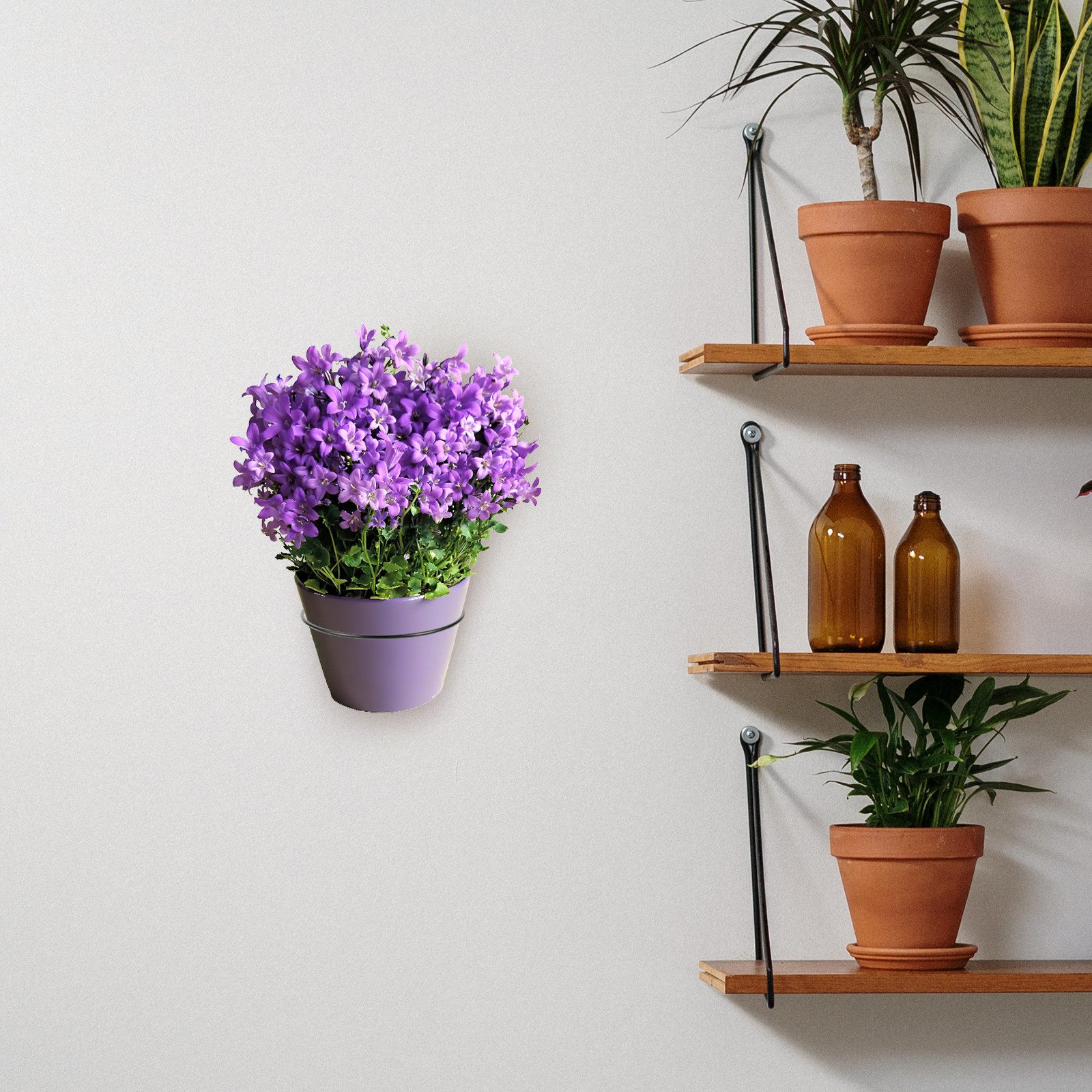 Iron Wall-Mounted Flowerpot Ra - Bonsai Garden Design บทวิจารณ์และราคา