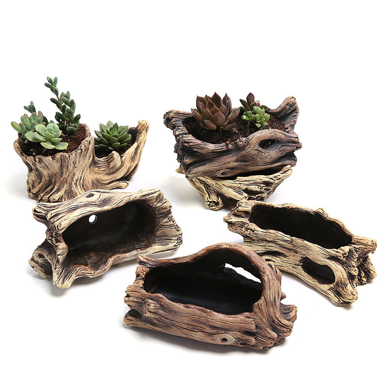 Succulent Flower Pot Wood Tree - Mini Bonsai Zen Garden บทวิจารณ์และราคา