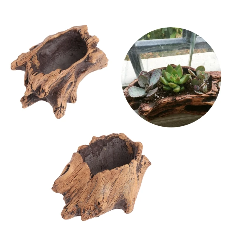 Succulent Flower Pot Wood Tree - Mini Bonsai Zen Garden บทวิจารณ์และราคา